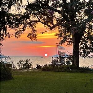 Meet your Posher, Kat